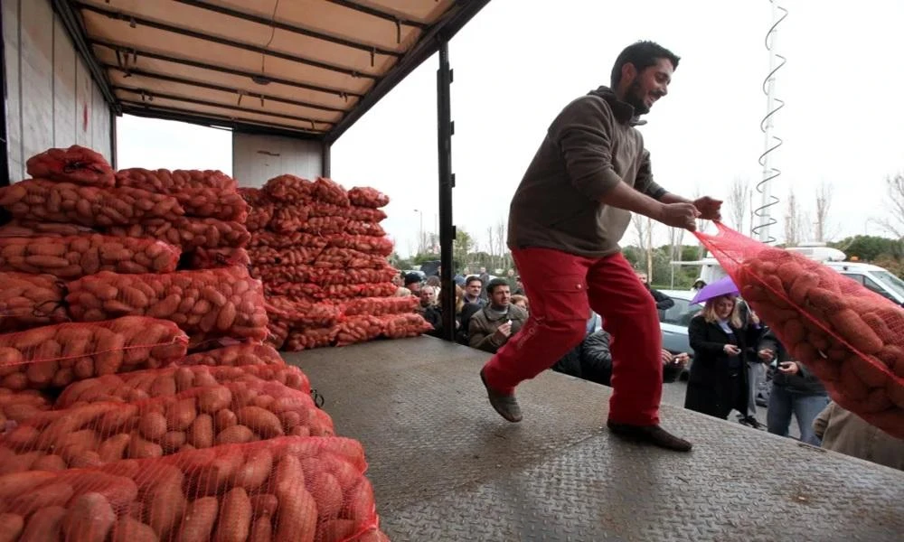 H διάσημη πατάτα Νάξου απειλείται από την ανομβρία